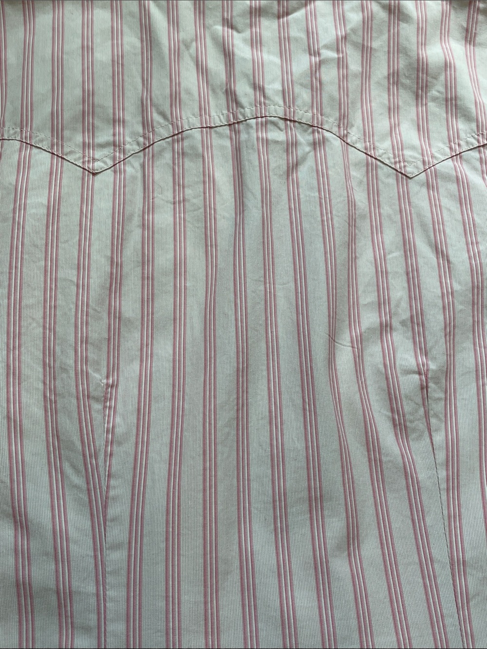 GAP Vintage Women's Western Pink Striped Button-Down (floral snaps) Shirt Medium - Picture 14 of 15
